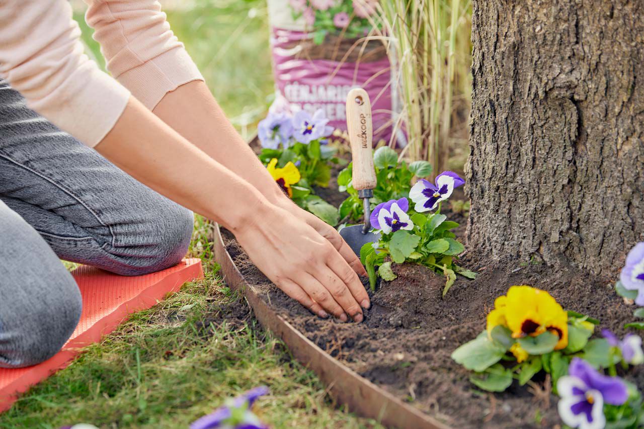 tuinkalender februari